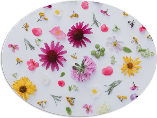 PVC Schuimplaat Ovaal - Verschillende Soorten en Kleuren Bloemen op Witte Achtergrond - 108x81 cm Foto op Ovaal (Met Ophangsysteem)