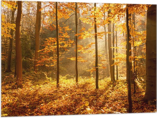 Vlag - Bomen in Bos in Oranje Tinten - 100x75 cm Foto op Polyester Vlag