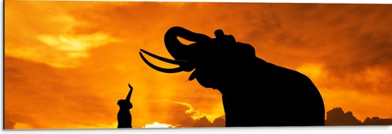 Dibond - Silhouet van Olifant met Persoon en Vogels in Afrika - 90x30 cm Foto op Aluminium (Wanddecoratie van metaal)