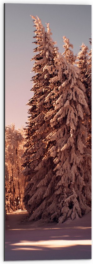 WallClassics - Dibond - Bomen in het Bos onder de Sneeuw - 30x90 cm Foto op Aluminium (Wanddecoratie van metaal)