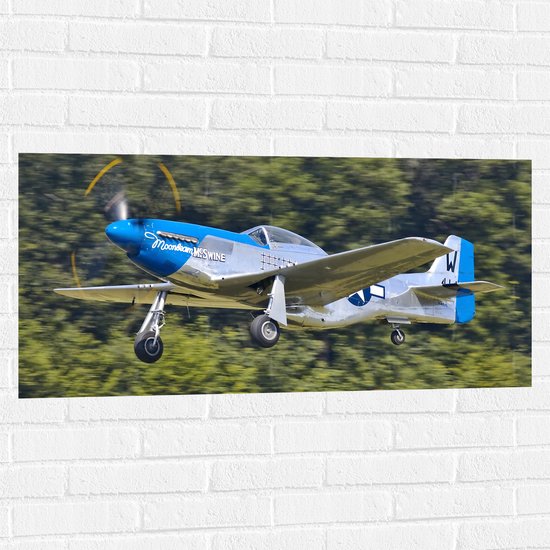 WallClassics - Muursticker - Blauw met Grijze Vliegtuig - 100x50 cm Foto op Muursticker