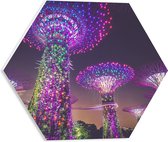 WallClassics - Feuille de Mousse PVC Hexagone - Parc Naturel de Nuit - Singapour - 40x34,8 cm Photo sur Hexagone (Avec Système de Suspension)