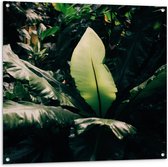 WallClassics - Tuinposter – Grote Bladeren in het Bos - 100x100 cm Foto op Tuinposter (wanddecoratie voor buiten en binnen)