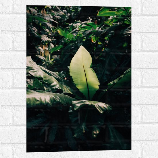 WallClassics - Muursticker - Grote Bladeren in het Bos - 40x60 cm Foto op Muursticker