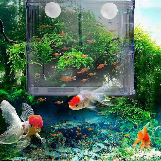 Aquarium kweekbox, 2 stuks kweekbakken aquarium aquaria kweekbakken kunststof vis isolatie box met zuignappen voor garnalen kleine vissen babyvissen