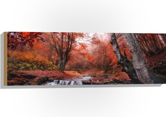 Hout - Bos met Stromend Water en Roodkleurige Bladeren - 90x30 cm - 9 mm dik - Foto op Hout (Met Ophangsysteem)