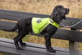 Hondenhesje bedrukt met tekst "Niet aaien, in training" maat XS