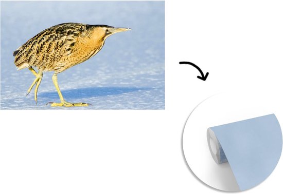 Papier peint photo vinyle - Un butor marche sur la glace largeur 330 cm x hauteur 220 cm - Tirage photo sur papier peint (disponible en 7 tailles)