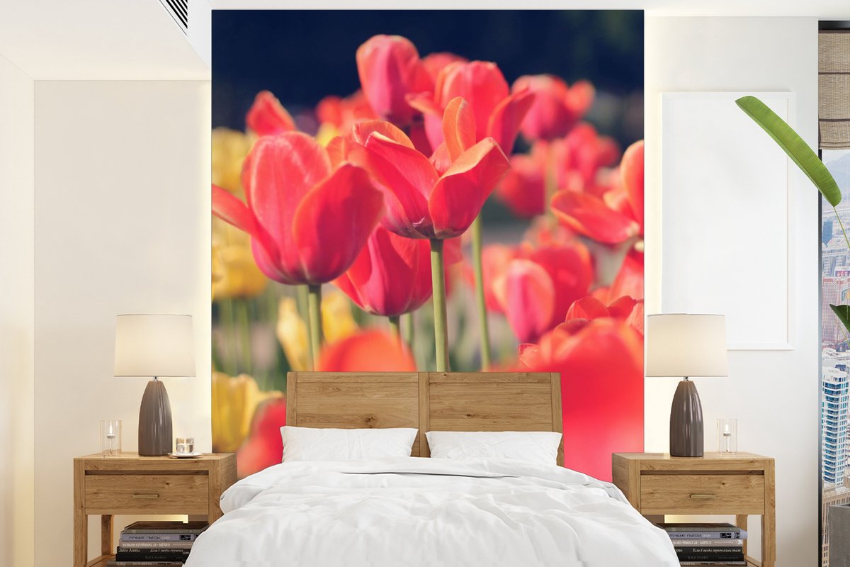 Behang - Fotobehang Tulpen - Bloemen - Natuur - Breedte 175 cm x hoogte 240 cm