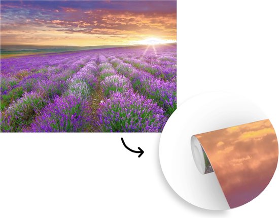 Behang - Fotobehang Lavendel - Wolken - Lente - Breedte 375 cm x hoogte 280 cm