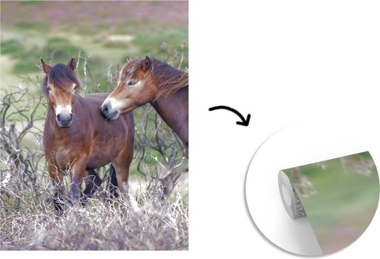 Papier peint photo en vinyle - Chevaux dans le parc national d'Exmoor en Angleterre largeur 190 cm x hauteur 260 cm - Tirage photo sur papier peint (disponible en 7 tailles)