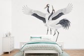 Behang - Fotobehang Illustratie van twee Chinese kraanvogels - Breedte 390 cm x hoogte 260 cm
