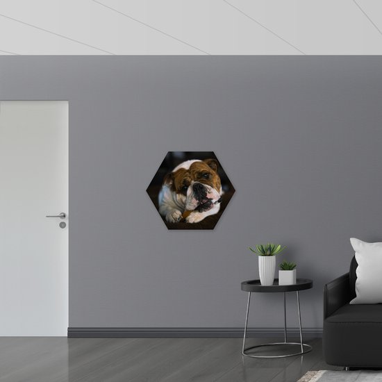 PVC Schuimplaat Hexagon - Bruin met Witte Hond met een Snoepje in zijn Mond - 80x69.6 cm Foto op Hexagon (Met Ophangsysteem)