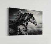 Paard | Schobbejak Animal Collection | Canvas | Wanddecoratie | Kunst | Schilderij | 70x50 CM