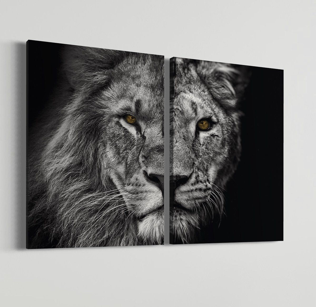 Leeuwin + Leeuw Tweeluik | Schobbejak Animal Collection | Canvas | Wanddecoratie | Kunst | Schilderij | 50x70 CM 2x