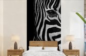 Behang - Fotobehang Dieren - Zebra - Zwart - Wit - Breedte 120 cm x hoogte 240 cm