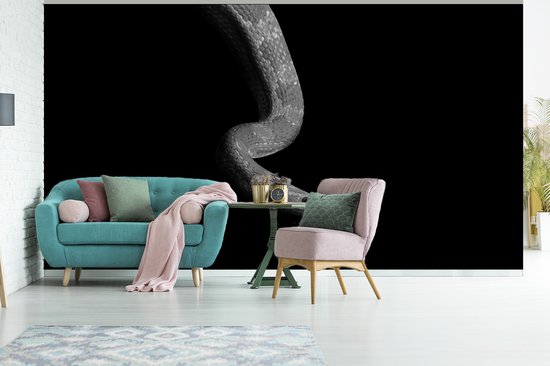 Behang - Fotobehang Dieren - Slang - Zwart - Wit - Portret - Breedte 465 cm x hoogte 260 cm