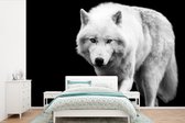 Behang - Fotobehang Wolf - Dier - Zwart - Wit - Breedte 600 cm x hoogte 400 cm