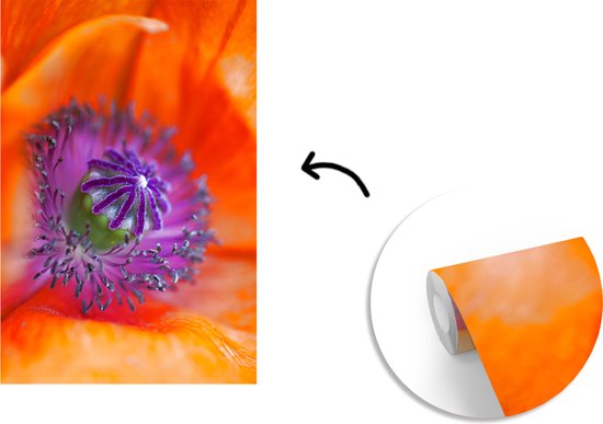 Image macro du pistil d'un coquelicot 200x300 cm