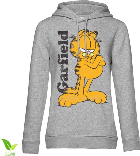 Garfield Hoodie/trui Garfield Grijs