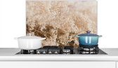 Spatscherm keuken 60x40 cm - Kookplaat achterwand Pampasgras - Plant - Natuur - Muurbeschermer - Spatwand fornuis - Hoogwaardig aluminium