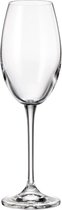 Crystal Bohemia - Fulica - White wine glass 6x300ml