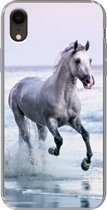 Geschikt voor iPhone XR hoesje - Paard - Zee - Pastel - Siliconen Telefoonhoesje