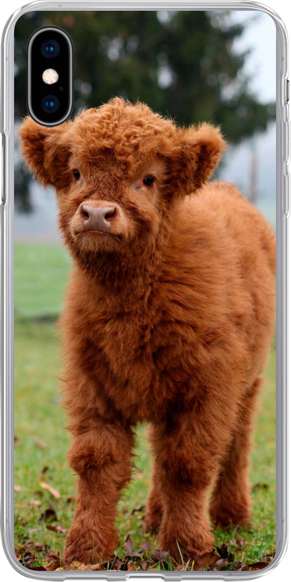 Telefoonhoesje Geschikt voor iPhone Xs hoesje - Schotse Hooglander - Kalf - Gras - Siliconen Telefoonhoesje Telefoonhoesje