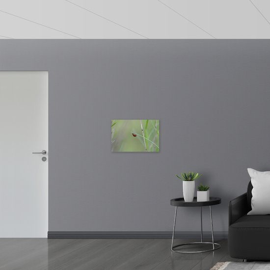 WallClassics - Muursticker - Lieveheerstbeestje op Gras - 60x40 cm Foto op Muursticker