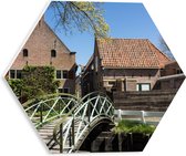 PVC Schuimplaat Hexagon - Bruggetje voor Nederlandse Huizen - 30x26.1 cm Foto op Hexagon (Met Ophangsysteem)