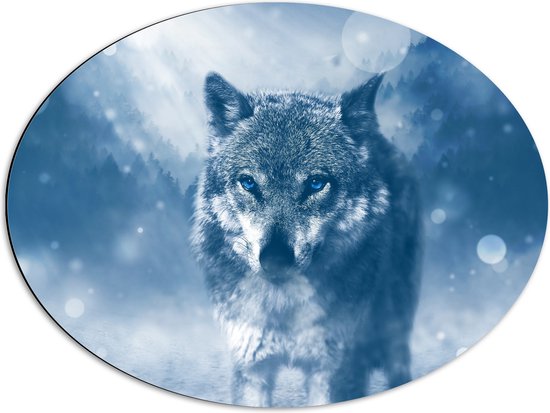 Dibond Ovaal - Foto van Wolf in Landschap met Felblauwe Ogen - 68x51 cm Foto op Ovaal (Met Ophangsysteem)