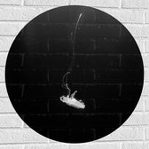 Muursticker Cirkel - Eenzame Witte Kwal - 70x70 cm Foto op Muursticker