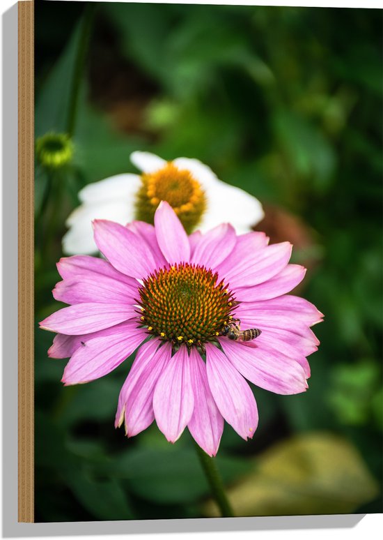 Welkomstbord Gender Reveal Bloom Baby - Belevenis Thuis