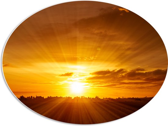 PVC Schuimplaat Ovaal - Felle Zonsondergang aan de Horizon achter Bomen - 68x51 cm Foto op Ovaal (Met Ophangsysteem)