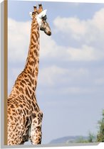 Hout - Achteraanzicht van Giraffe - 50x75 cm - 9 mm dik - Foto op Hout (Met Ophangsysteem)