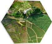 PVC Schuimplaat Hexagon - Bovenaanzicht van een Landschap Gevuld met Rijstvelden - 40x34.8 cm Foto op Hexagon (Met Ophangsysteem)
