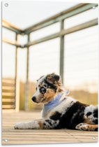 WallClassics - Tuinposter – Puppy met fel Blauwe Ogen - Australische Herder - 60x90 cm Foto op Tuinposter (wanddecoratie voor buiten en binnen)