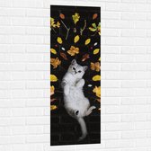 WallClassics - Muursticker - Liggende Kat omringt door Blaadjes - 40x120 cm Foto op Muursticker