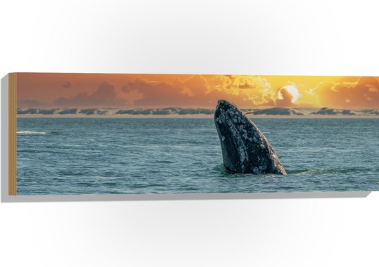 Hout - Deel van Walvis boven Wateroppervlak bij Verdwijnende Zon - 90x30 cm - 9 mm dik - Foto op Hout (Met Ophangsysteem)