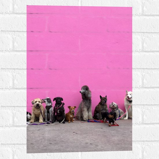WallClassics - Muursticker - Hondenfamilie tegen Roze Achtergrond - 40x60 cm Foto op Muursticker