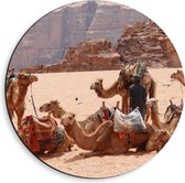 WallClassics - Dibond Muurcirkel - Kamelen in de Woestijn - 40x40 cm Foto op Aluminium Muurcirkel (met ophangsysteem)