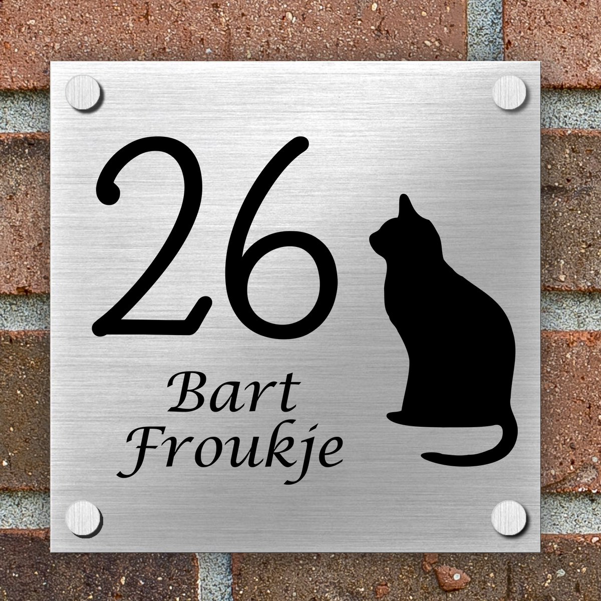 Naambordje Voordeur - POES - Complete Set - Inclusief Gratis RVS Bevestigingsset met afstandhouders - 15x15 cm - Naambordjes Huis - Huisnummerbord - Bordje nummer - Huisnummer - Brushed Aluminium