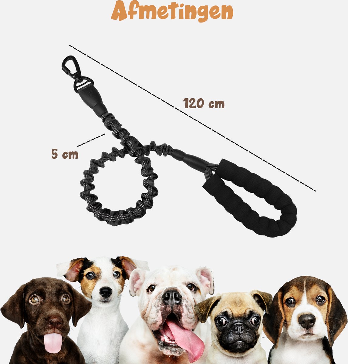 Adori Nylon Anti-Sliplijn Met Handvat - Hondenriem - 180x2 cm Zwart L - Hondenriem - Pets Place