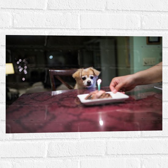 WallClassics - Muursticker - Jarig Klein Hondje zittend op Stoel aan Eettafel - 60x40 cm Foto op Muursticker
