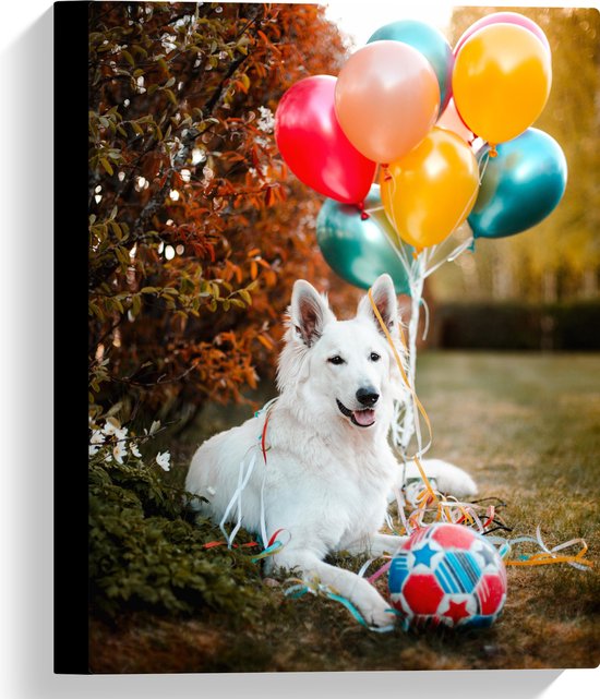 WallClassics - Canvas - Liggende Hond met Bal en Ballonnen - 30x40 cm Foto op Canvas Schilderij (Wanddecoratie op Canvas)