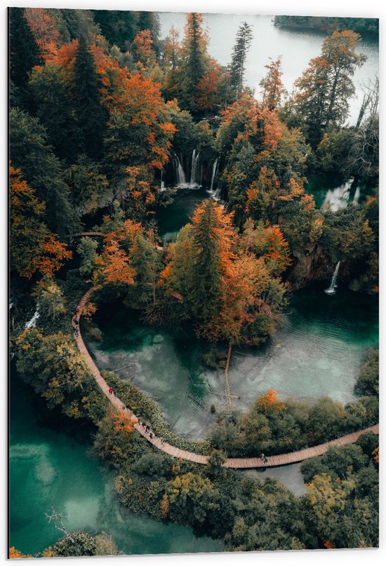 Dibond - Vlonder tussen Bomn in Nationaal Park Plitvicemeren - 60x90 cm Foto op Aluminium (Met Ophangsysteem)