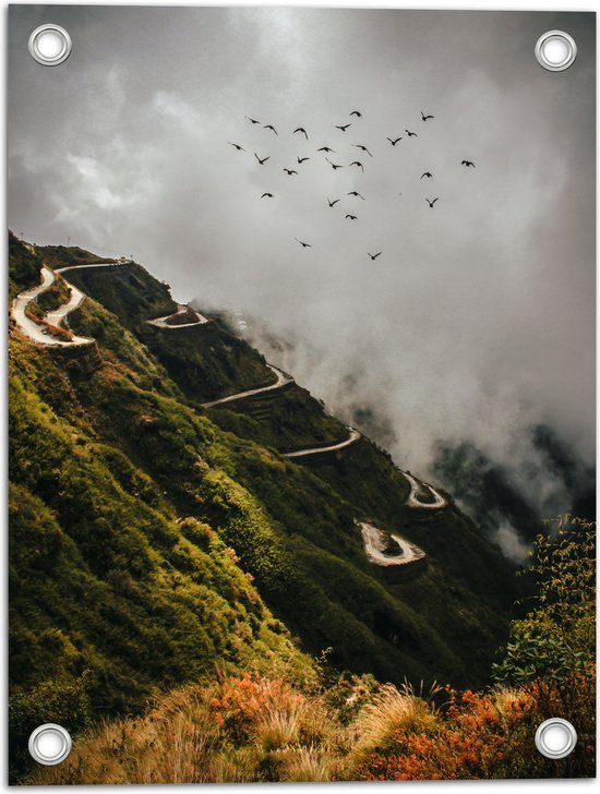 Tuinposter – Vogels boven Kronkelpad op Berg - 30x40 cm Foto op Tuinposter (wanddecoratie voor buiten en binnen)