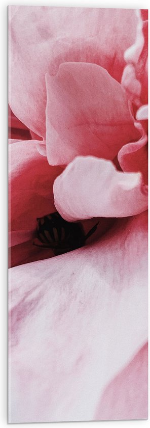 Acrylglas - Zwarte Binnenkant van Roze Bloem - 30x90 cm Foto op Acrylglas (Met Ophangsysteem)