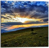 Dibond - Zonnestralen tussen de Wolken boven Landschap - 50x50 cm Foto op Aluminium (Met Ophangsysteem)