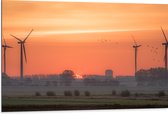 Dibond - Zonsondergang bij Windmolens in het Veld - 105x70 cm Foto op Aluminium (Met Ophangsysteem)